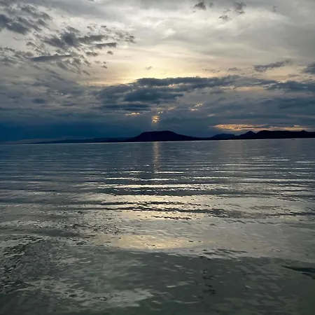 Rózsa * Balatonboglár