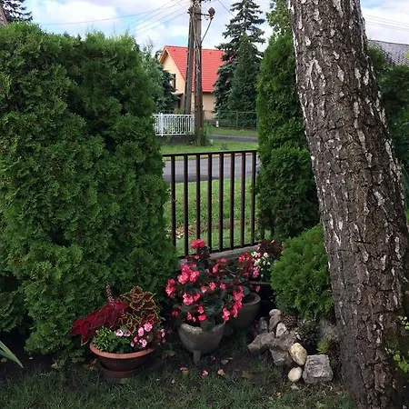 Rozsa Nyaralohaz Holiday home Balatonboglar