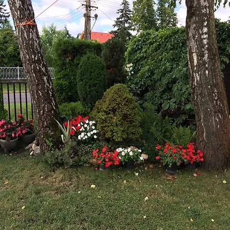 Rozsa Nyaralohaz Balatonboglar