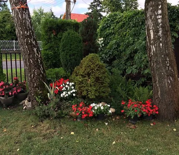 Rozsa Nyaralohaz Balatonboglár